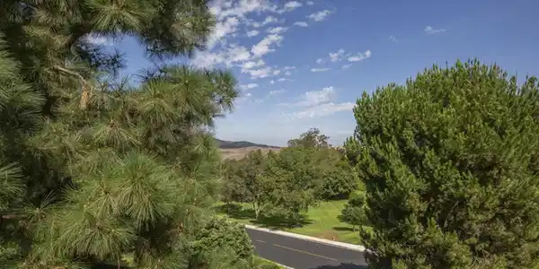 3486 W Bahia Blanca