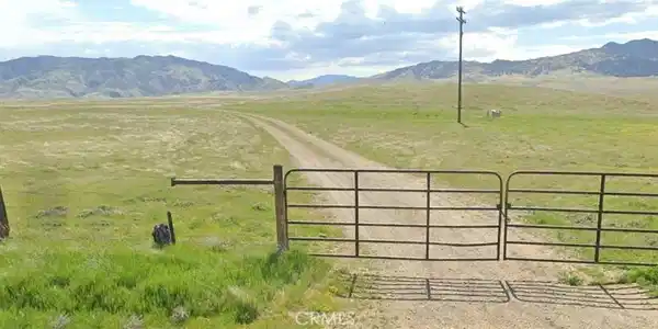 1 Panoche