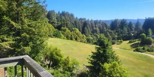 845 Blair Ranch Road