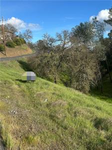 4355 Tomahawk Trail