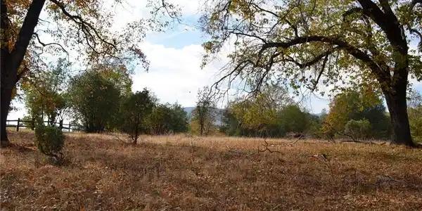 2 .68ac Sneezeweed Lane