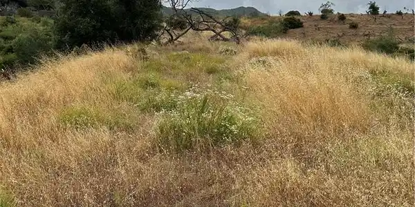 0 Via De La Roca