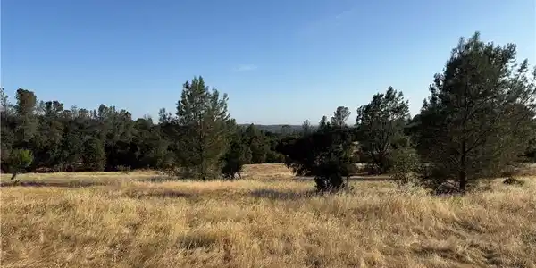 0 Skyline Boulevard