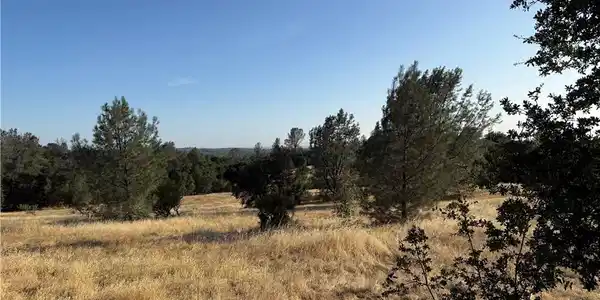 0 Skyline Boulevard