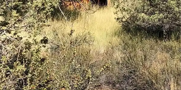 0 A Lookout Hackamore Rd