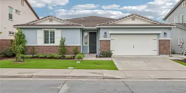 29118 Carrotwood