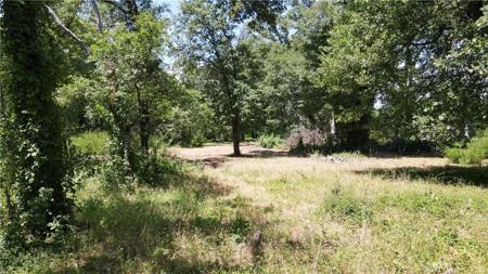 1343 Shady Lane