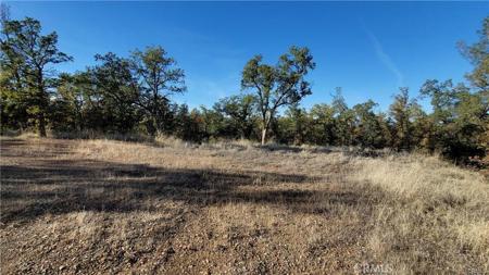 17435 Quail Ridge Road