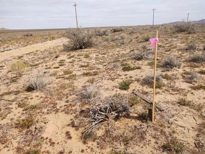 0 Vacant Land
