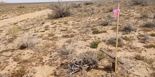 0 Vacant Land