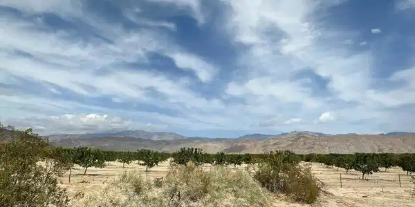 0 Coyote Way