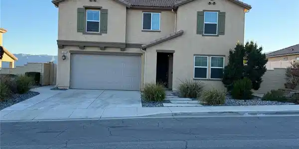 4009 Elderberry