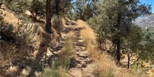0 Short Trail