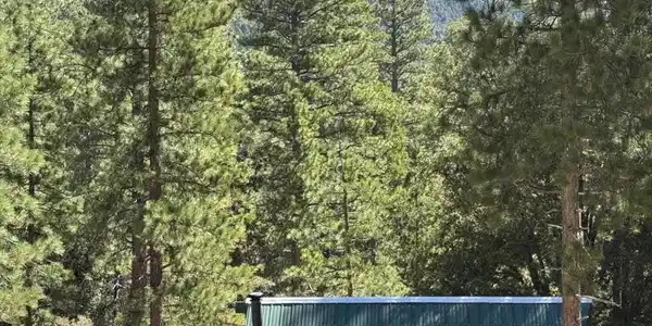 52660 Forest Route 4s02