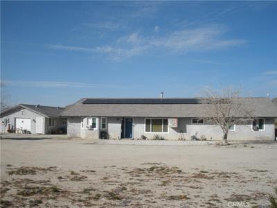 39036 Sage