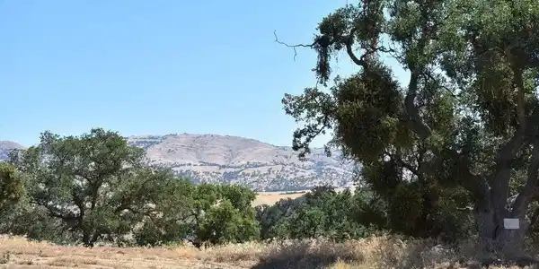 22948 Rim