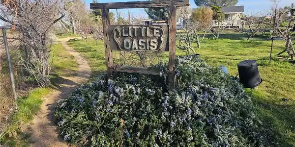 9878 Wilson Ranch