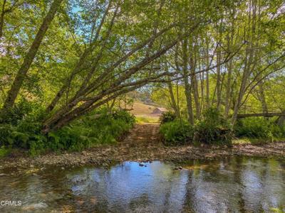 42000 Mountain View Road