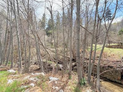 29949 Hook Creek