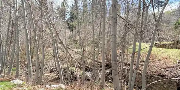 29949 Hook Creek