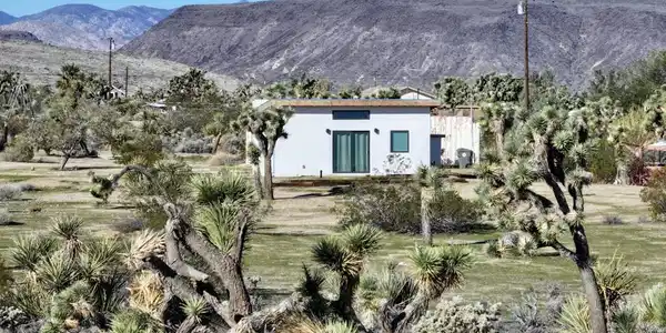 4039 Greasewood Lane