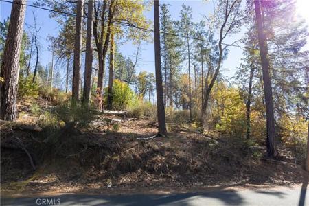 10991 Gifford Springs Road