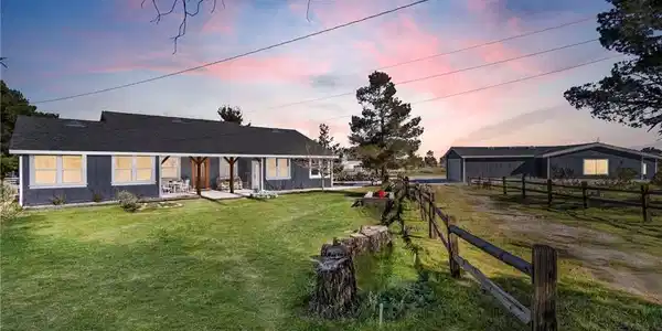 4329 Amador