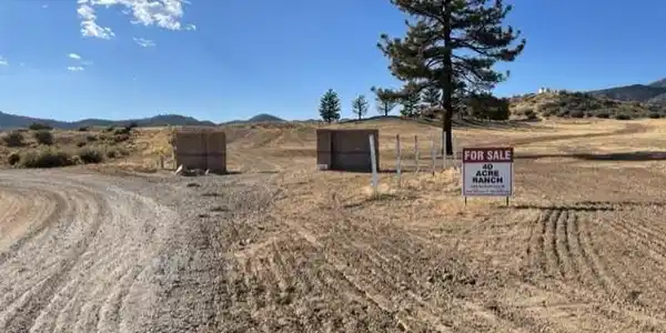 14486 Boy Scout Camp Rd