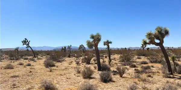 2814 Yucca Mesa
