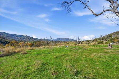 19576 State Highway 175