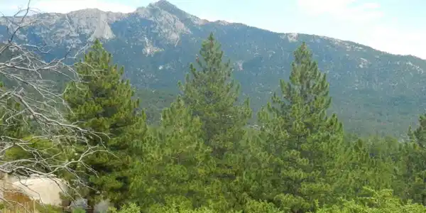 0 Big Rock