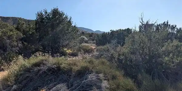 8 Mountain Road