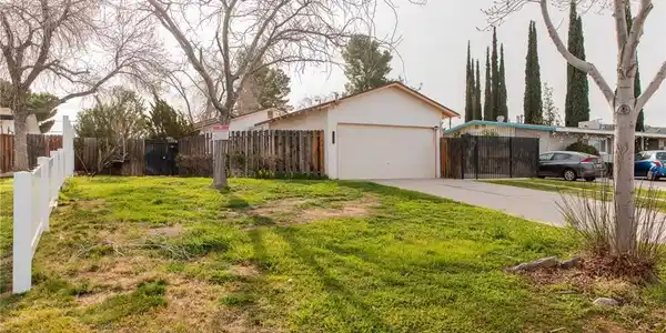 38990 Juniper Tree