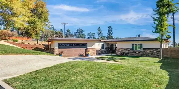 382 Alta Pine