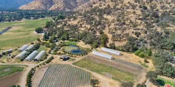 41849 N Fork Drive