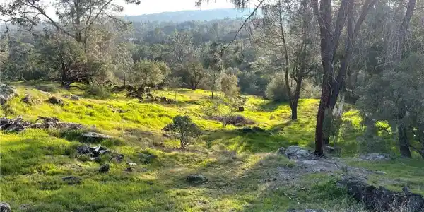1220 Corral Drive