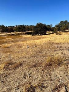 0 Lot 1 Sunflower Lane