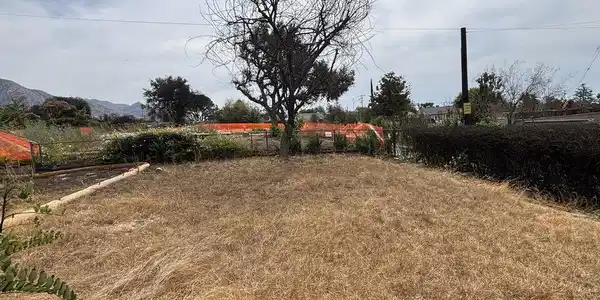 255 W Poppyfields Drive