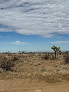 2 Olivine Road