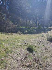 237 Pine Canyon Drive