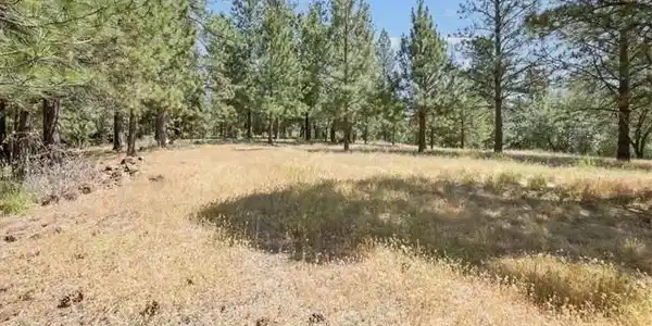 15000 Ponderosa Rd