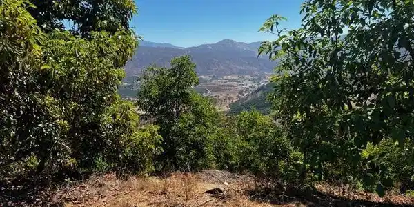 0 Pauma Heights Rd