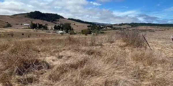330 Valley Ford Freestone Road