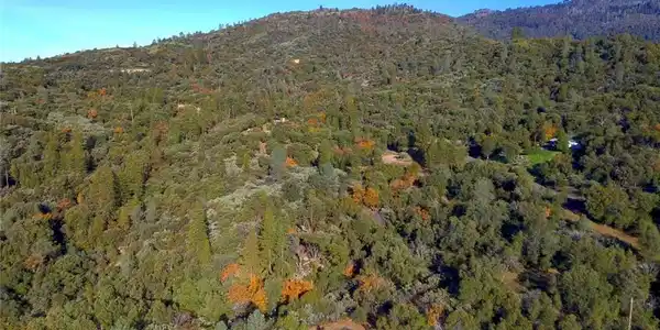 20 Harris Cutoff Road