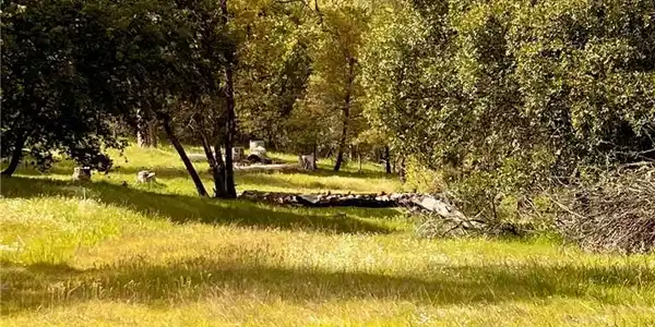 4959 Sierra Pines