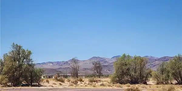 31312 Fort Cady Road