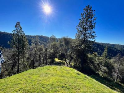 17252 Shake Ridge Road