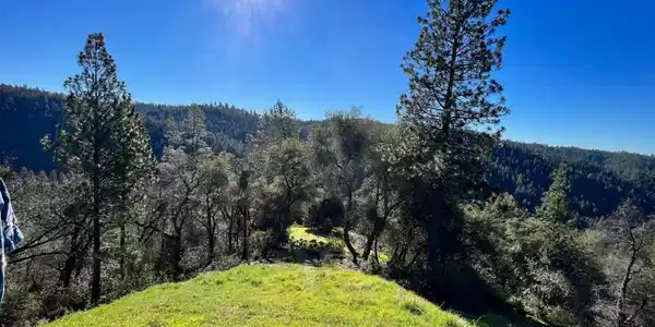 17252 Shake Ridge Road