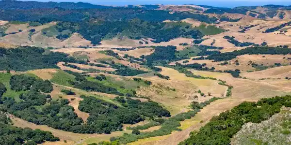 7200 Hwy 1
