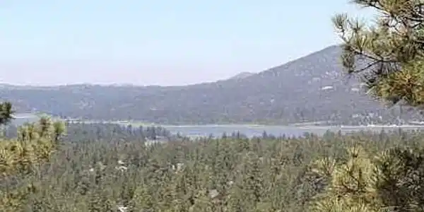 801 Menlo